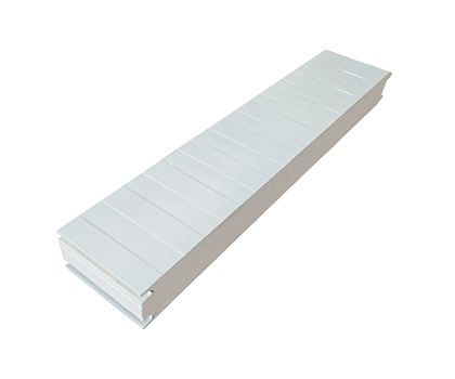 Hot Sales Cold Room Panel