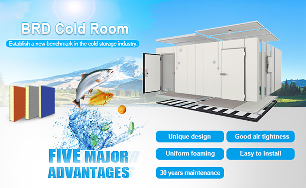 coldroom-panel-BRD1